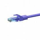 CAT5e internetkabel 0,25m paars - onafgeschermd - CCA